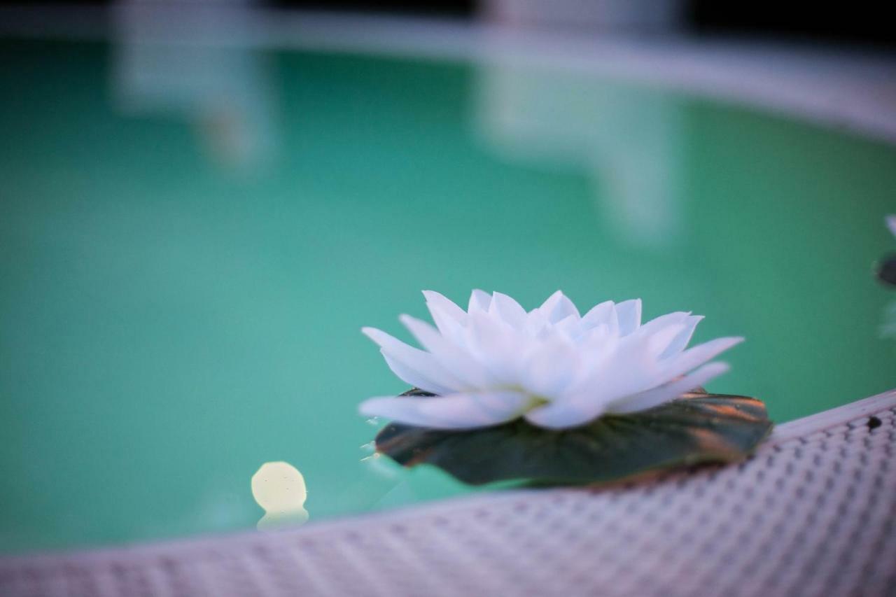 Hotel Iva Diano Marina Dış mekan fotoğraf